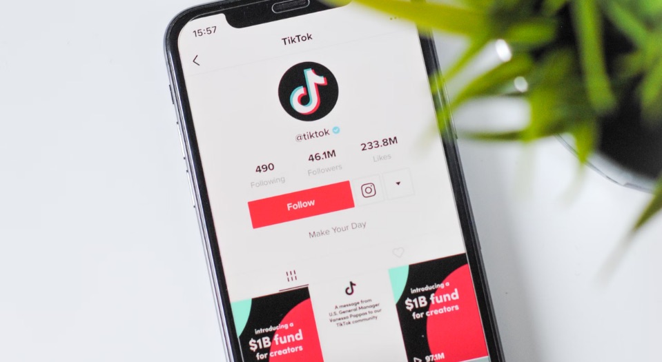 TIKTOK ADS: REITEN SIE AUF DER TRENDWELLE
